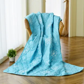 LooCa 石墨烯涼感雙面護頸特大枕頭2入 歷史價格詳細信息