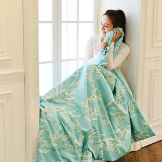 LooCa 石墨烯CBD科技速眠2入 (涼感版) 歷史價格詳細信息