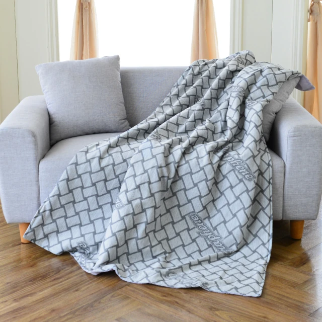 LooCa超冰涼可水洗夏被 涼被(雙人5*6) 歷史價格詳細信息