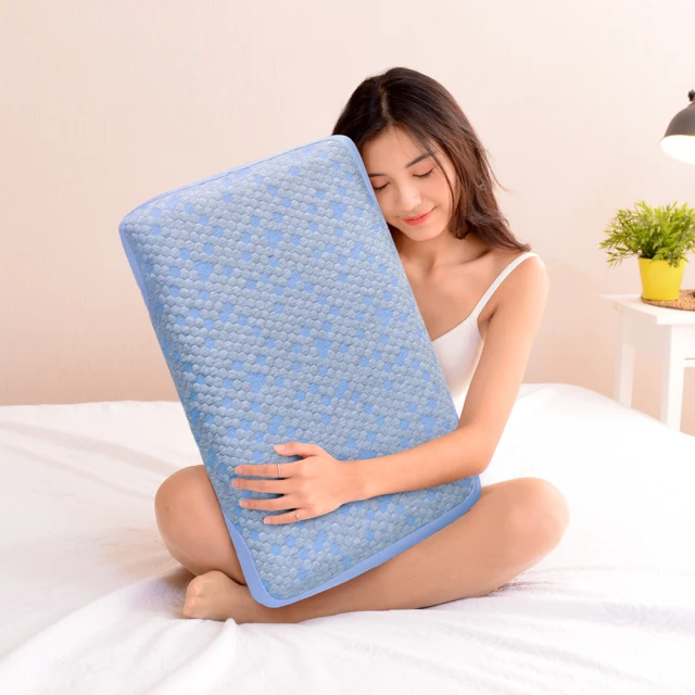 LooCa特大蜂巢式高支撐乳膠枕2入 歷史價格詳細信息