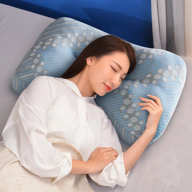 LooCa 石墨烯涼感雙面護頸特大枕頭2入 歷史價格詳細信息