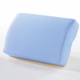 【LooCa】吸濕透氣3-6cm薄床墊布套MIT-拉鍊式(雙人5尺-共2色-速) 歷史價格詳細信息