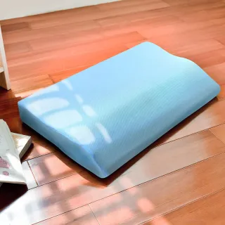 【LooCa】吸濕透氣3-6cm薄床墊布套MIT-拉鍊式(雙人5尺-共2色-速) 歷史價格詳細信息
