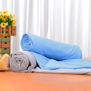 LooCa MIT全開拉鍊式吸濕排汗換洗布套(藍)適用記憶床墊/乳膠床墊/輕便床墊 歷史價格詳細信息