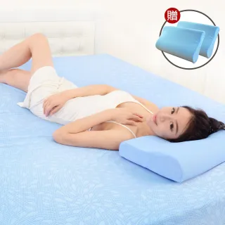 LooCa 吸濕排汗5cm透氣+青白竹蓆冬夏兩用三折床墊(2色任選) 歷史價格詳細信息