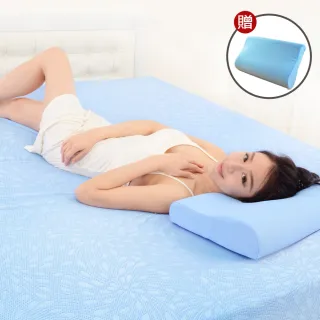 【LooCa】吸濕透氣3-6cm薄床墊布套MIT-拉鍊式(雙人5尺-共2色-速) 歷史價格詳細信息