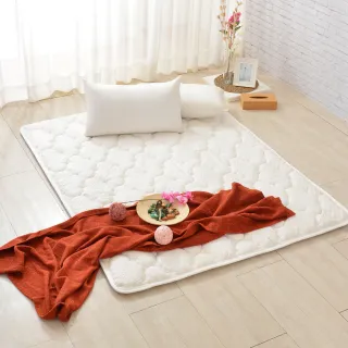 LooCa可機洗抗菌水洗枕1入(中低型) 歷史價格詳細信息