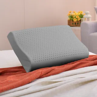 任-泰國直送鮮採急凍山竹(500g/包) 歷史價格詳細信息