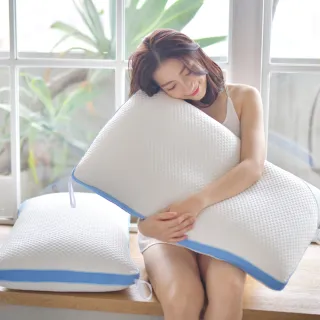 LooCa可機洗抗菌水洗枕1入(中低型) 歷史價格詳細信息