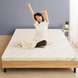 LooCa防蹣抗敏12cm輕量型獨立筒床墊-單大3.5尺 歷史價格詳細信息