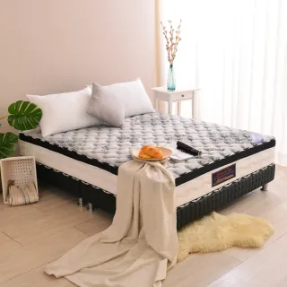 【LooCa】石墨烯遠紅外線+乳膠+M型護框獨立筒床墊(單人3.5尺) 歷史價格詳細信息