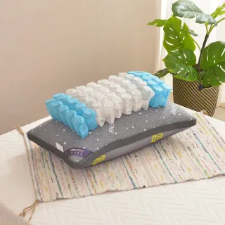 LooCa 石墨烯醒腦枕1入(抗菌+乳膠+三段式獨立筒枕) 國民阿嬤 王滿嬌代言 歷史價格詳細信息