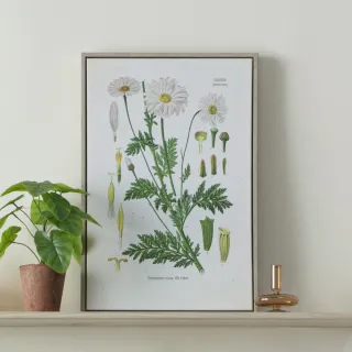 hoi!現代畫-家-木框米30x40cm 歷史價格詳細信息