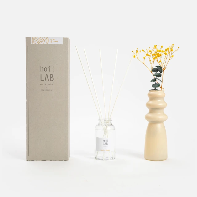 【hoi!LAB】hoi! LAB實驗室香氛-車用香氛扣 套組 奶茶色款-交換禮物首選(多款顏色可選) 歷史價格詳細信息