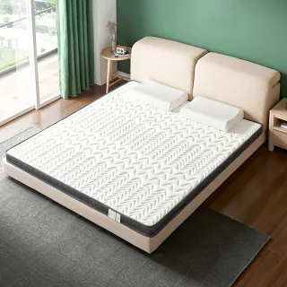 林氏木業護脊椰棕彈簧床墊6尺180X200x21cmCD200C偏硬歐規床墊 歷史價格詳細信息