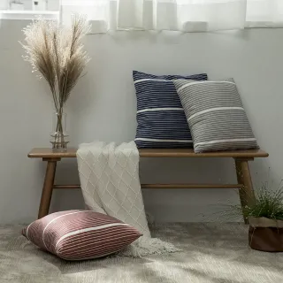 條紋45x75cm絲圈地墊 dayneeds 歷史價格詳細信息