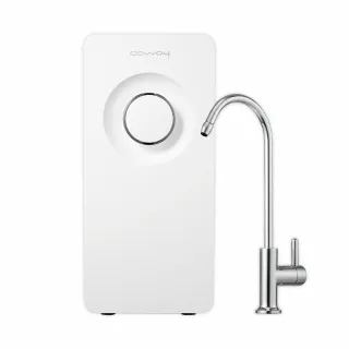 【Coway】奈米高效淨水器P-150N（登錄送空氣清淨機 AP-1019C不挑色） 歷史價格詳細信息