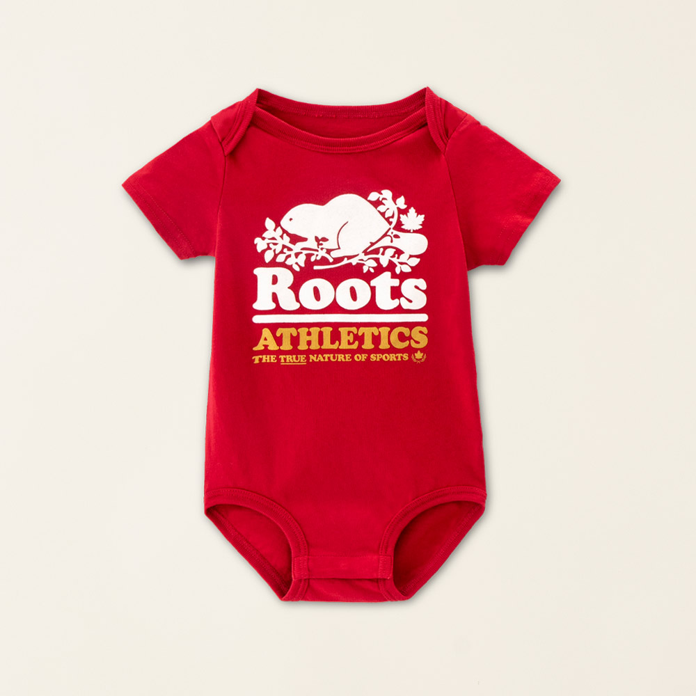 ROOts 手推式掃地機Flipper+ 免插電，掃地能力強. 可節省10個人的工時 歷史價格詳細信息