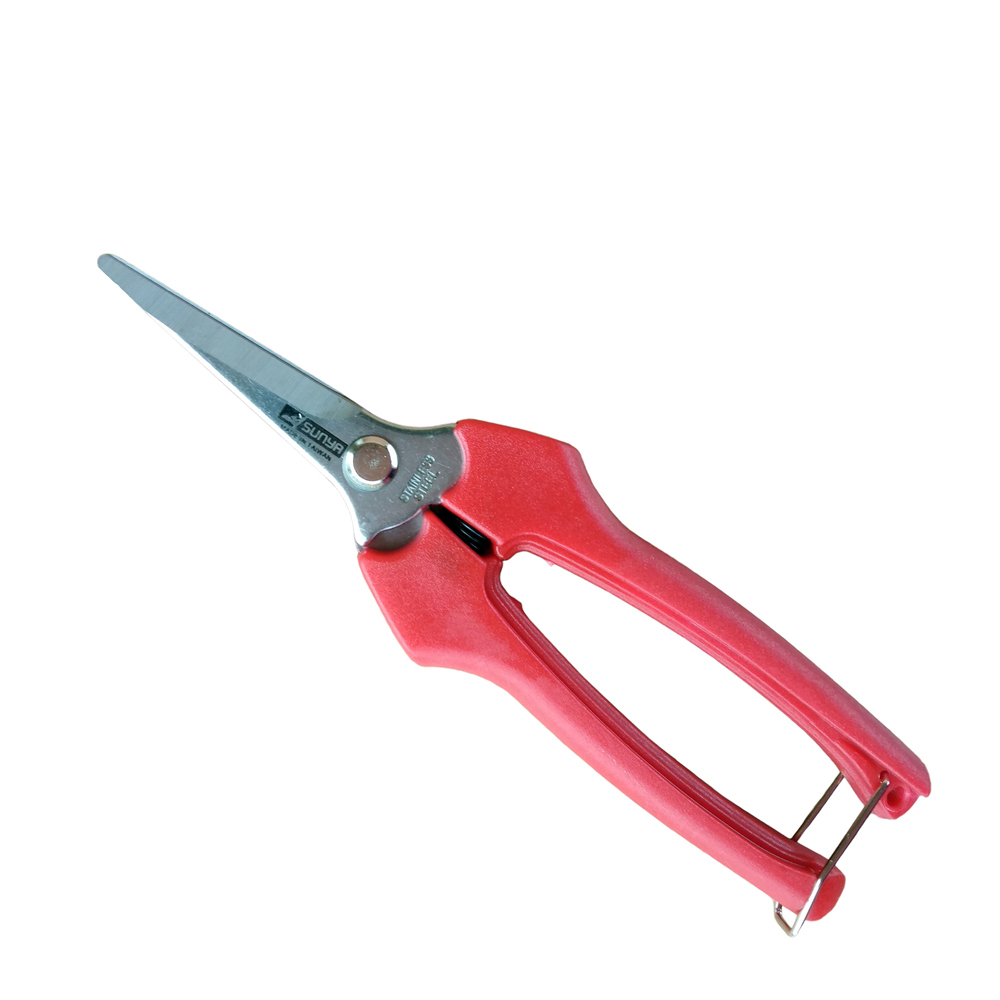 SUNYA 中碳鋼採果剪 花剪 剪定鋏 高枝剪 檳榔剪 園藝剪刀 台灣製造　*免 歷史價格詳細信息