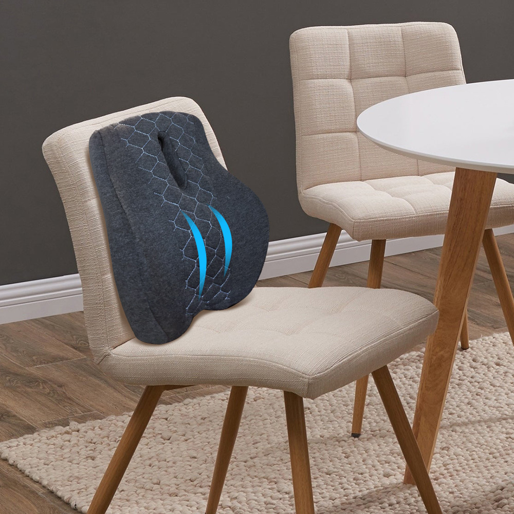 【特力屋】RELASS GeL凝膠姿勢調整輔助腰墊 歷史價格詳細信息