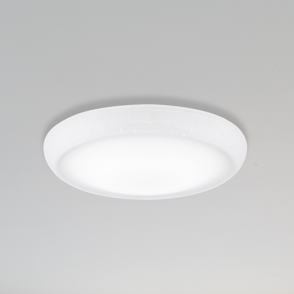 【特力屋】渦卷型板托6 *6 白色二入 適用層板 深20cm 歷史價格詳細信息