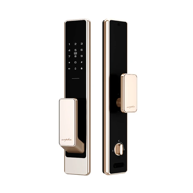 【 智能鎖】ALPHA 五合一推拉式電子鎖 曜石黑(指紋│卡片│密碼│鑰匙│藍芽/含安裝) 歷史價格詳細信息
