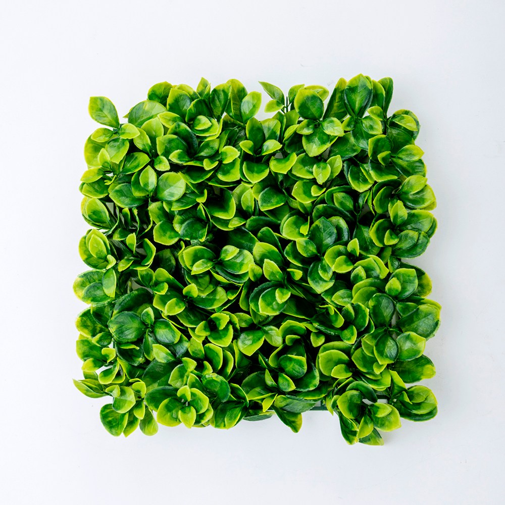 【特力屋】Green Life Ocean四分水管車20M 歷史價格詳細信息