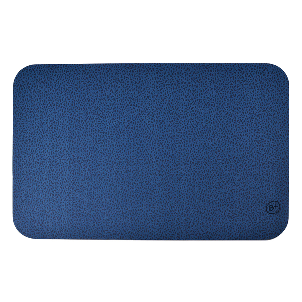 【特力屋】極吸水珪藻土浴墊 60x39cm-2入 歷史價格詳細信息