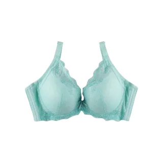 玉如阿姨 艾麗兒玫瑰內衣 V溝 低脊心 托高 機能 調整 台灣製 ABC罩 0557綠 歷史價格詳細信息