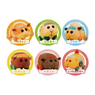 天竺鼠車車手提單肩帆布包/滿版天竺鼠超吸睛/雙面圖案都可愛/全新現貨/快速出貨 歷史價格詳細信息