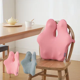 台隆手創館 日本護腰機能坐墊骨盆枕(咖啡/藍/粉) 歷史價格詳細信息