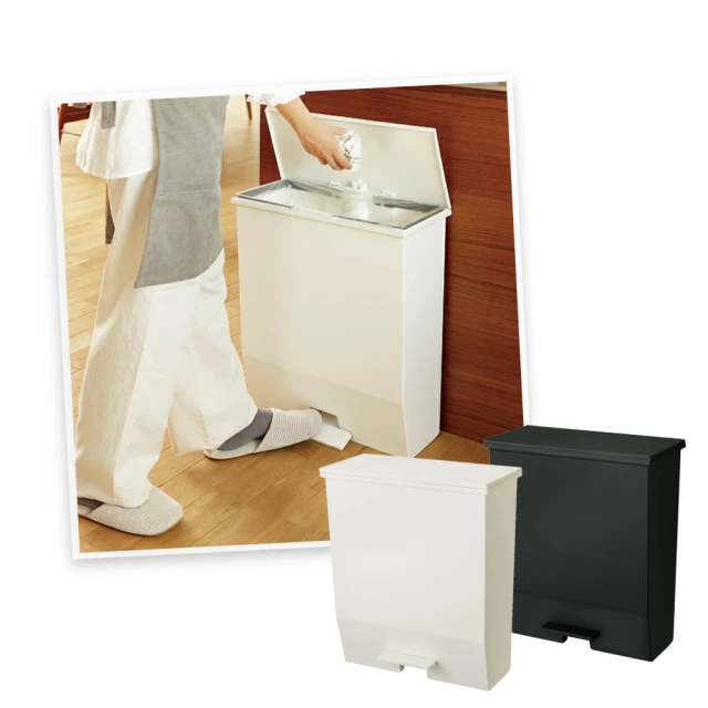 【日本RISU】SOLOW日本製腳踏式對開蓋分類垃圾桶-20L-2色可選 歷史價格詳細信息