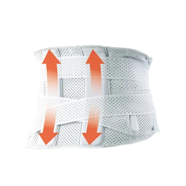 台隆手創館 日本護腰機能坐墊骨盆枕(咖啡/藍/粉) 歷史價格詳細信息