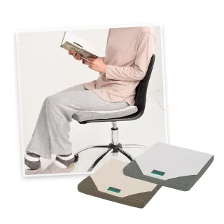 台隆手創館 日本西川SUYARA 透氣舒適坐墊/健康坐墊(金/銀) 歷史價格詳細信息