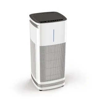 【Cuisinart 美膳雅】空氣清淨機濾網2片組(CAP-500TW專用) 歷史價格詳細信息