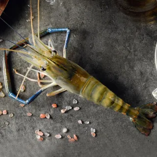 10公尺 600燈高級版全套RGB七彩LED燈條【沛紜小鋪】5050防水高亮RGB LED燈帶 RGB軟條燈 7彩燈帶 歷史價格詳細信息