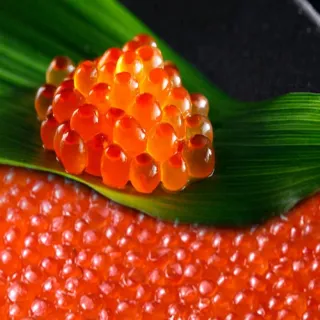 日本北海道夢之美米(2kg) 歷史價格詳細信息