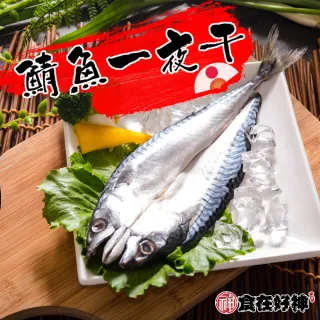 直播限定！一元下單賣場 (訂單備註款式) 阿志小舖 歷史價格詳細信息