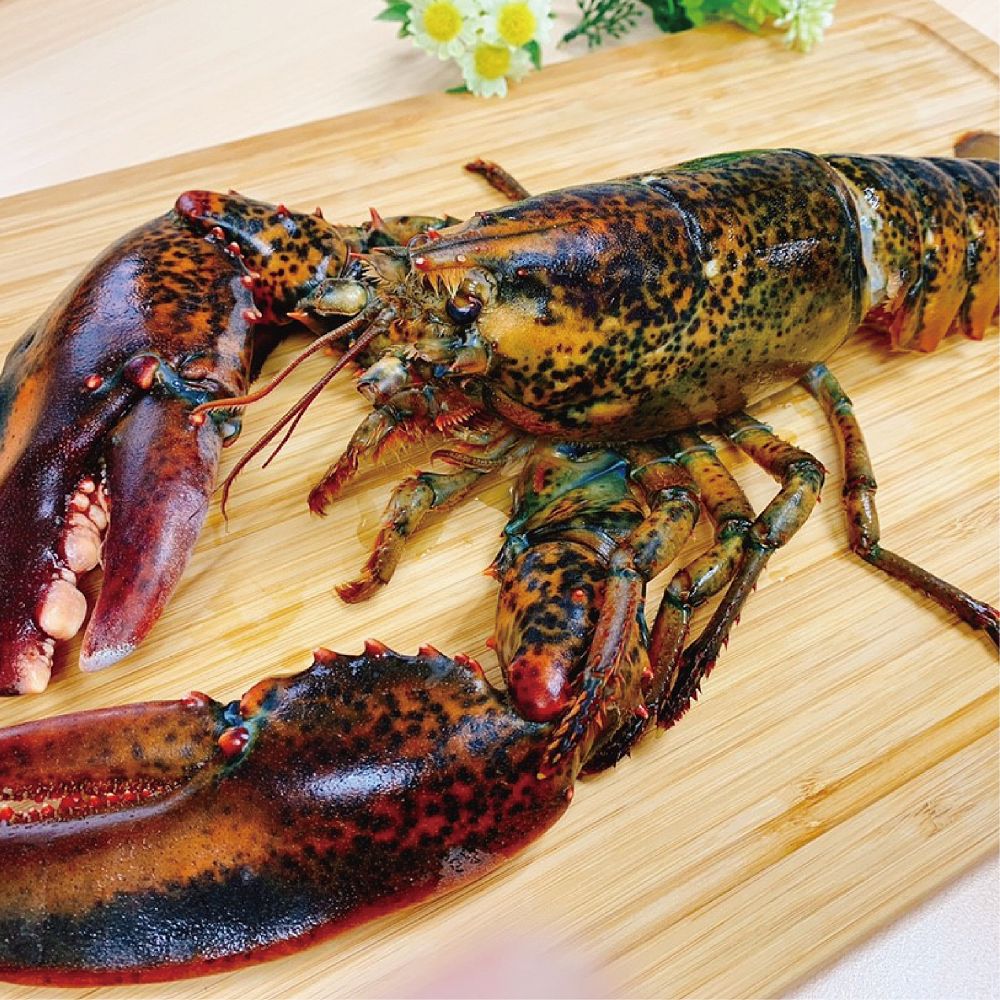 【5入組】加拿大CHARM野性魅力-凍乾零食系列 40g-60g 歷史價格詳細信息