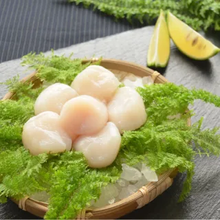 【日芳珍饌】干貝海鮮燉飯 歷史價格詳細信息