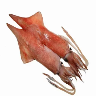 【北海漁鋪】薄切鱈魚(大比目魚)250g±10%/包*10包 歷史價格詳細信息