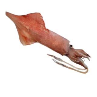 【北海漁鋪】特級活凍鹹水白蝦250g±10%/包*5包 歷史價格詳細信息