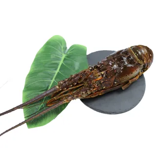 【築地一番鮮】特大2L北海道生食級特大-熟-含卵帆立貝3包(800G/包) 歷史價格詳細信息