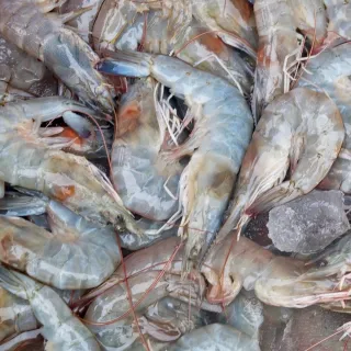 【RealShop 真食材本舖】最高等級日本岡山晴王麝香禮盒 兩房入 歷史價格詳細信息