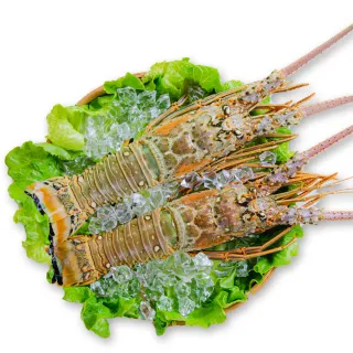 野生眉神器FLORTTE/花洛莉亞怪美四叉小畫家刀鋒水眉筆持 歷史價格詳細信息