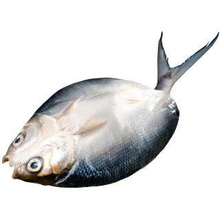 【無敵好食】海釣小卷 x4包(300g/包) 歷史價格詳細信息