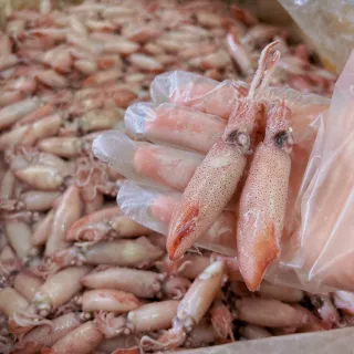 【一手鮮貨】基隆本港鮮活小卷(9盒組/單盒超過300g以上/咪咪卷) 歷史價格詳細信息