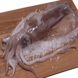 食釣SEDUCEgear經典拼色漁夫帽男女夏季透氣潮牌情侶款遮陽圓帽 歷史價格詳細信息