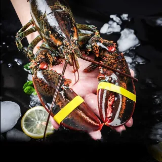 【豐禾辦公家具】GP10-4 四大抽卡片箱(10輪) 卡片櫃 鐵櫃 置物櫃 文件櫃 資料櫃 公文櫃 抽屜櫃 鋼製鐵櫃 歷史價格詳細信息