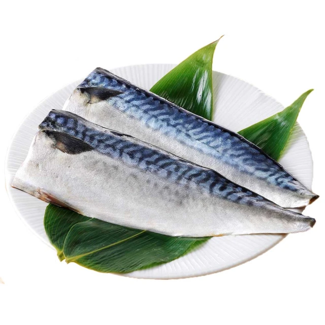【上野物產】台灣宜蘭產地直送 薄鹽鯖魚 (160g±10%/片 )x10片 歷史價格詳細信息